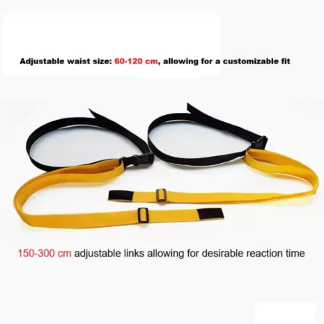 Reaction Belts 2025 b Reaction Belts 2025 b