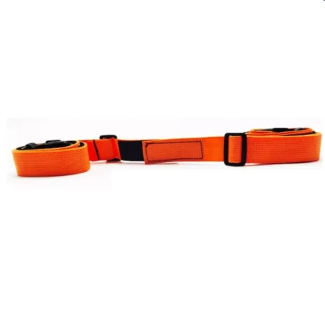 Reaction Belts 2025 b2 Reaction Belts 2025 b2