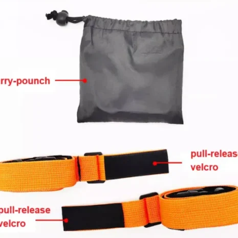 Reaction Belts 2025 b4 Reaction Belts 2025 b4