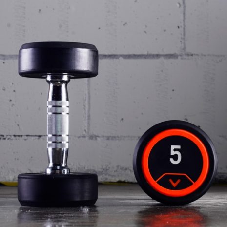 Round Head Dumbbells Joinfit VITOX 2 Round Head Dumbbells Joinfit VITOX 2